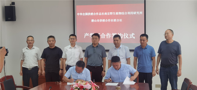 市供销社与南京野生植物研究所举行产学研合作签约仪式(图2)